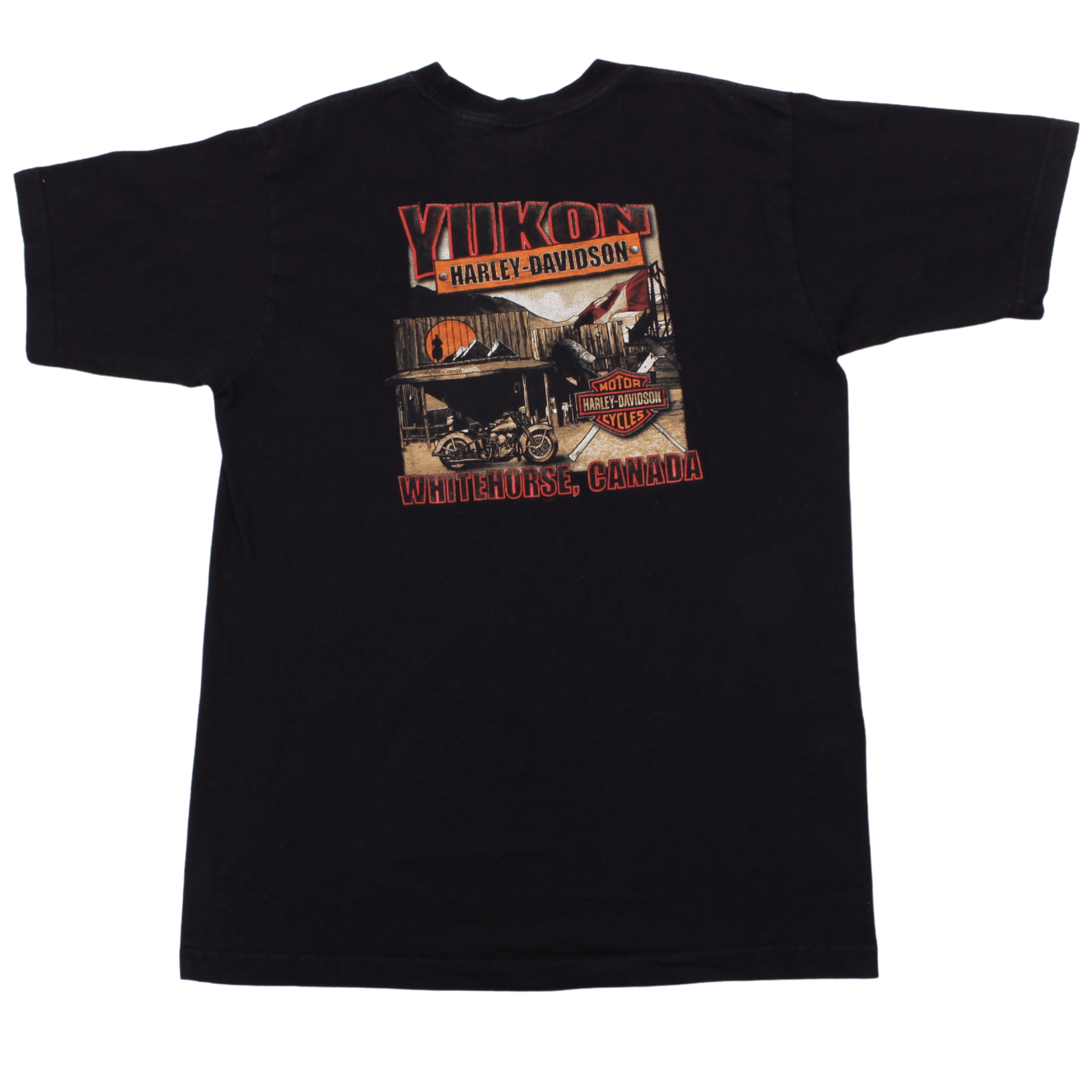 Vintage Harley Davidson T Shirt (M)